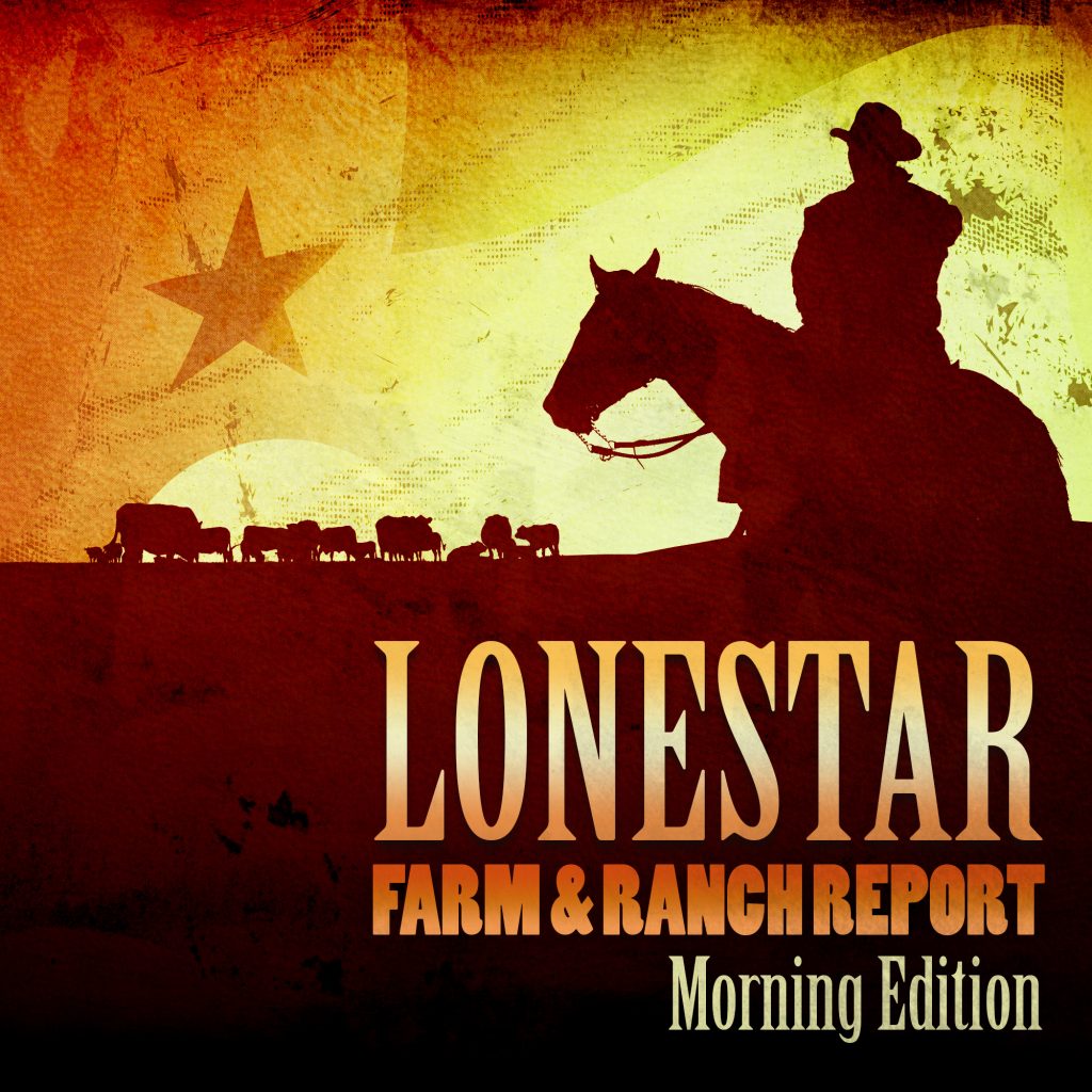 Lone Star Farm and Ranch Morning | Texas State Networks